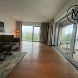 Arcul de Triumf, apartament 2 camere, pet friendly